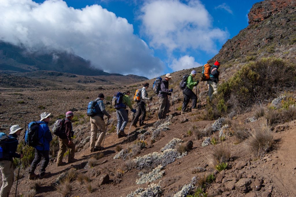 Kilimanjaro mountain national park