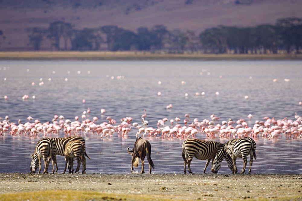 Lake Manyara