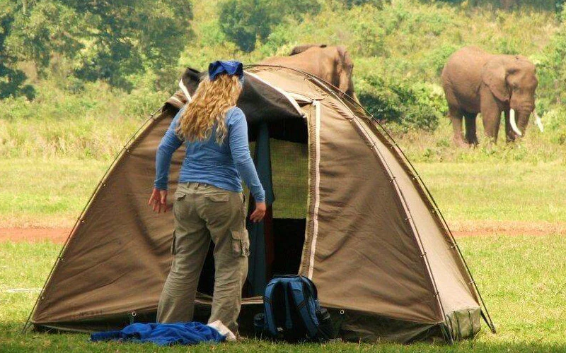 Budget-Camping-safari-from-zanzibar