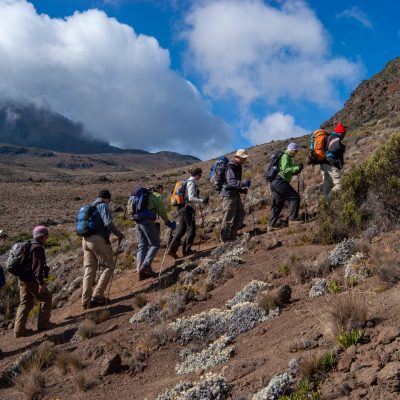 Kilimanjaro mountain national park