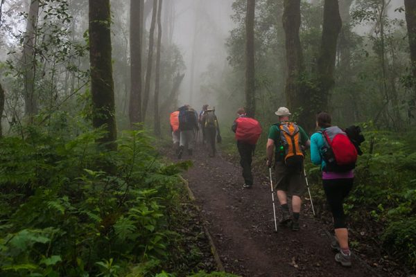 kilimanjaro day hike